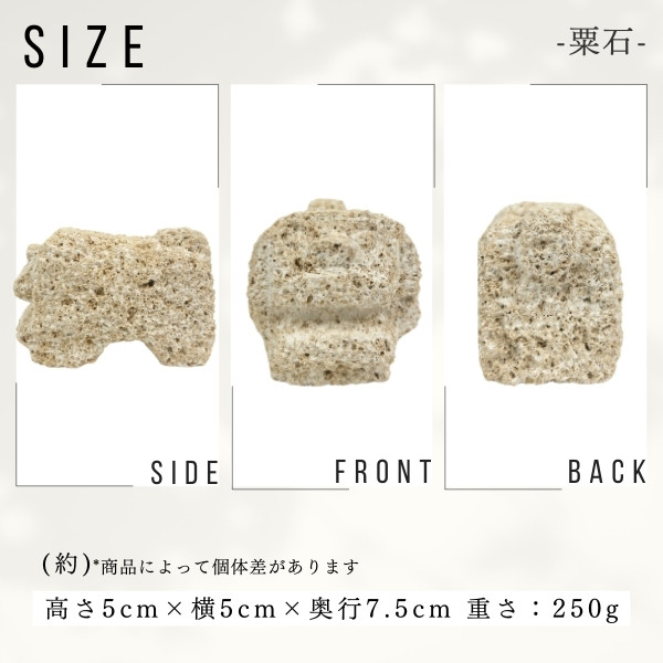 スタジオde-jin 石獅子 たてがみシーサー 手彫り 作家作品 シーサー