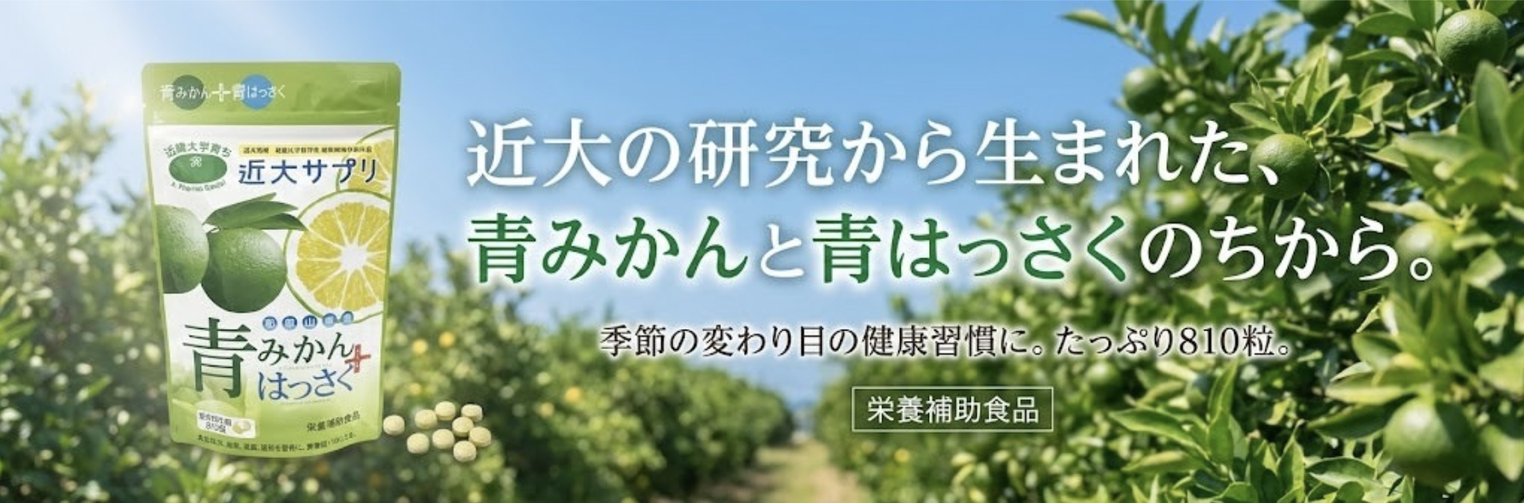 arc reve - Yahoo!ショッピング