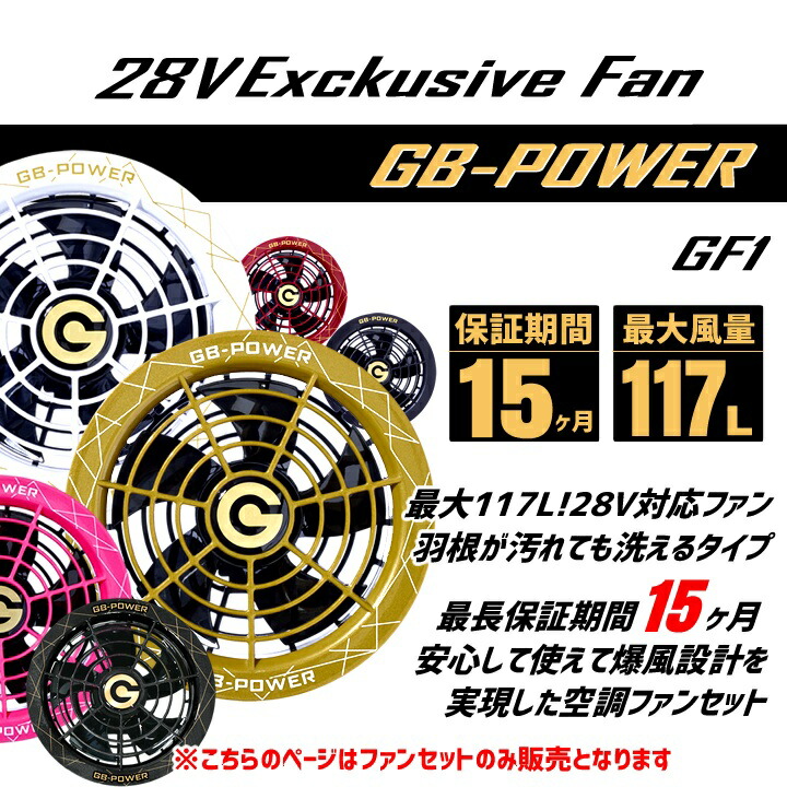 cyoshin-gf1-1.jpg