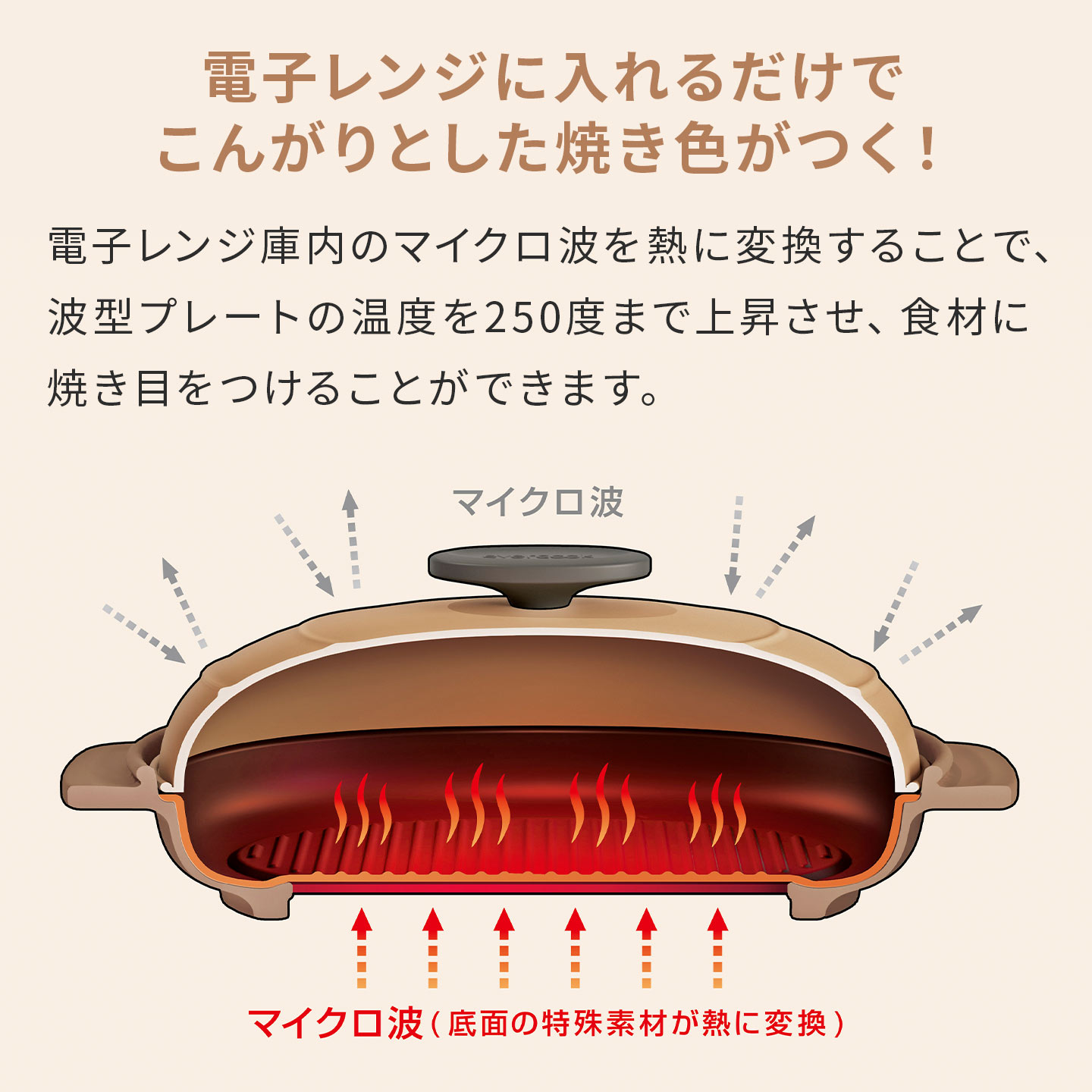 evercook 電子レンジ グリル 調理器具 エバークック EAMWOV ドウシシャ