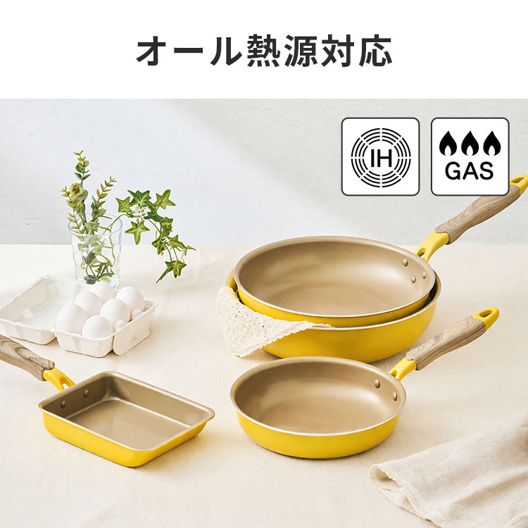evercook エバークック 卵焼き フライパン IH ガス対応 卵焼き器 13×18