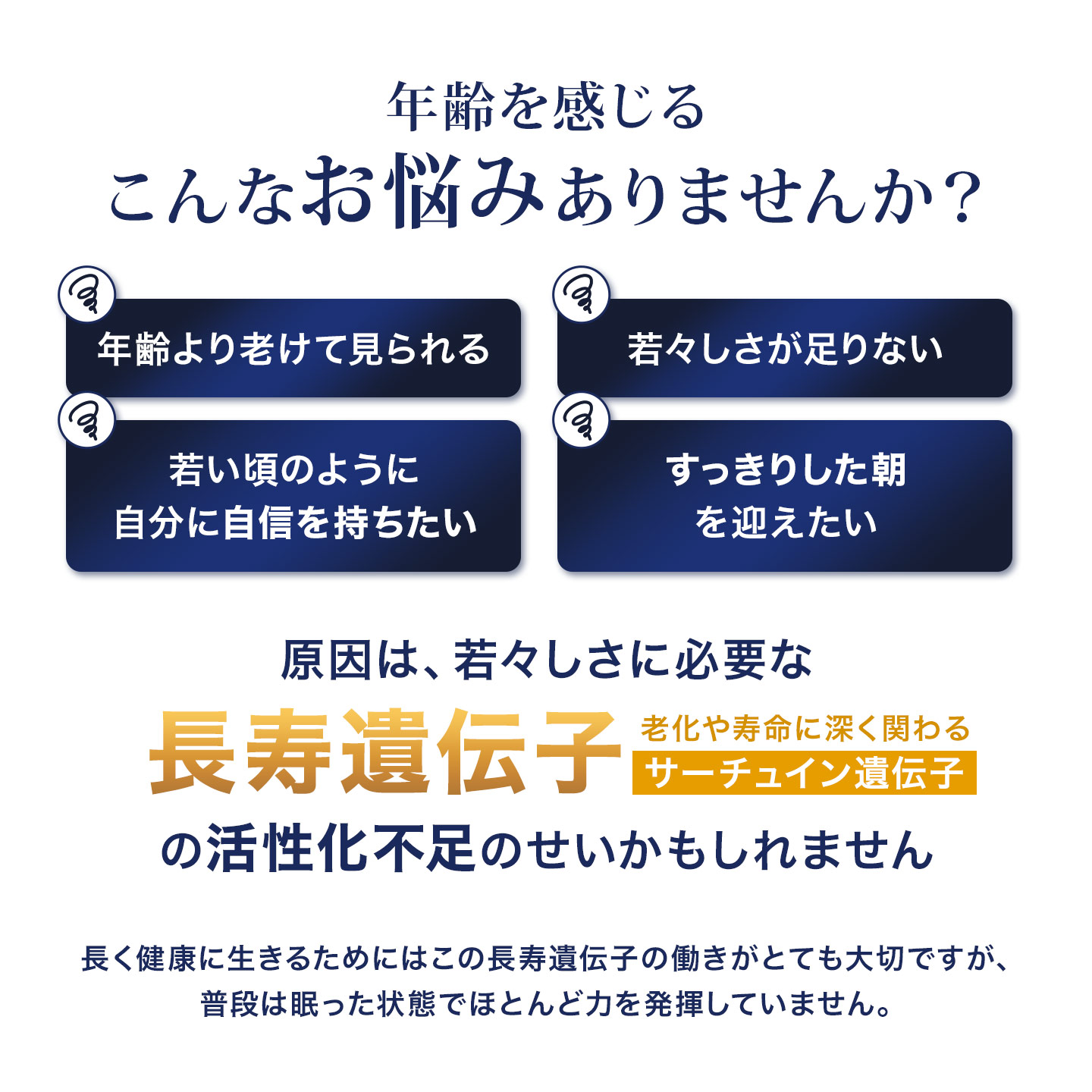 NMN サプリメント 日本製 EUREA eurecare 30日分 β-NMN 90粒