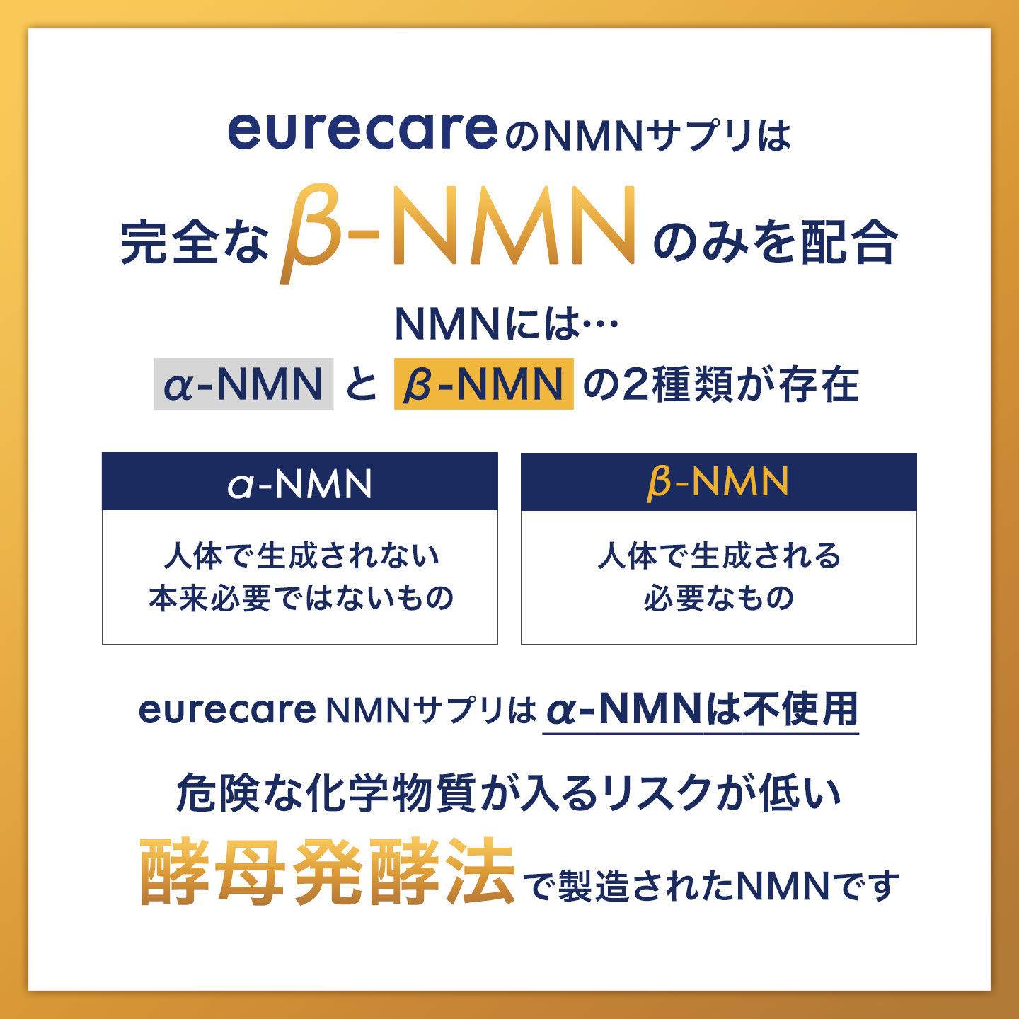 eur-nmns01_8.jpg