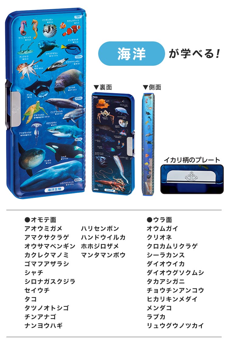 kite-2dpenc_7.jpg kite-2dpenc_7.jpg