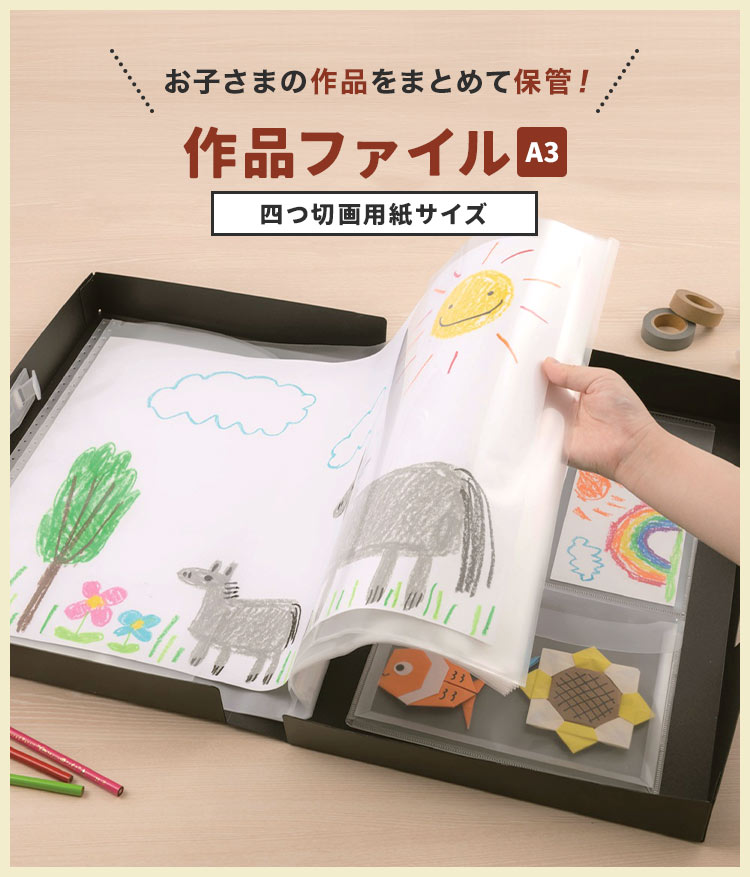 ナカバヤシ 作品収納ケース ボックス ケース 作品ファイル A3 四つ切