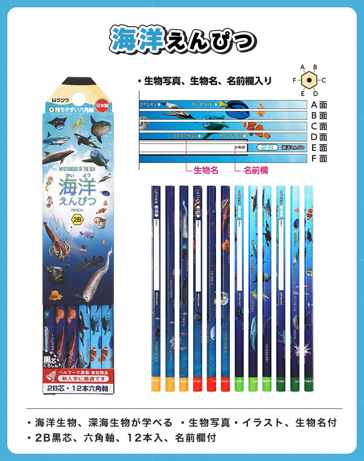 PLATINUM プラチナ万年筆 万年筆 美巧 近代蒔絵 双龍 PGB-12000M