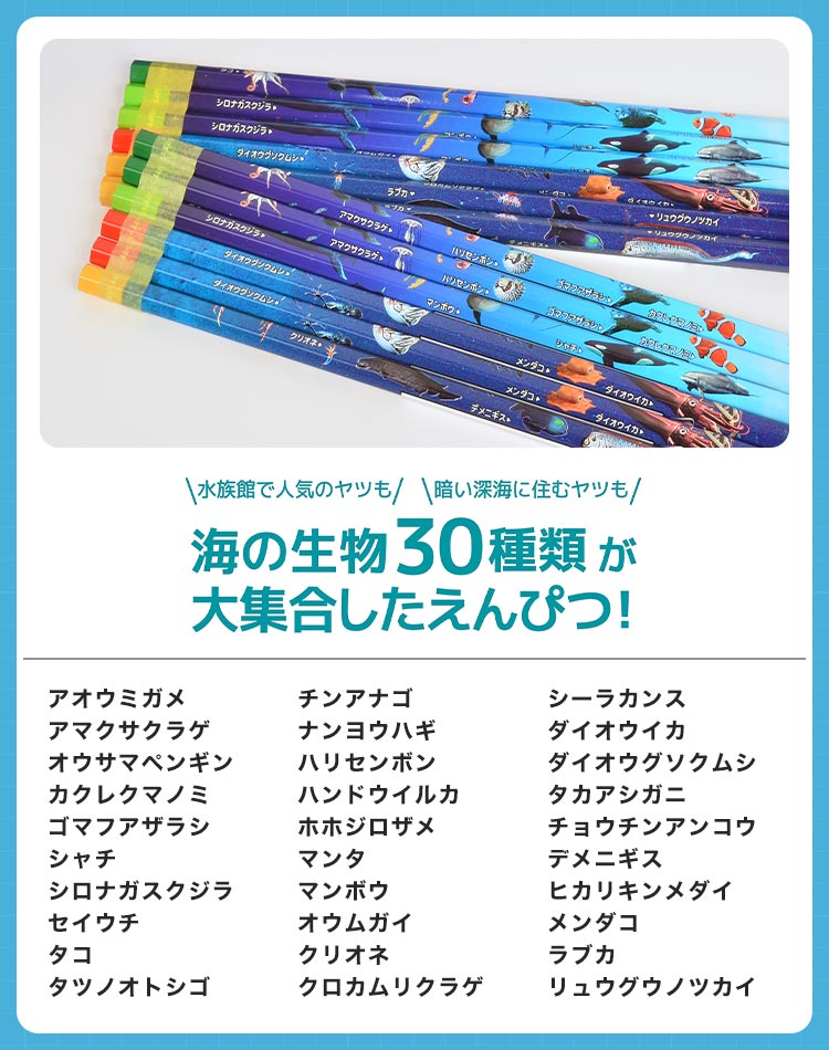 クツワ 鉛筆 2B ダース 三角軸 六角軸 かきかた鉛筆 えんぴつ