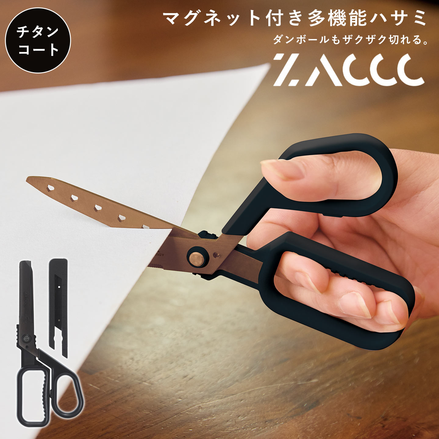 kite-scis04.jpg