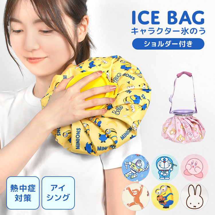mrs-icep01.jpg
