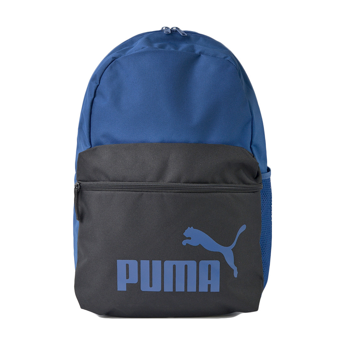 送料無料でお届けします リュック キッズ 男の子 PUMA プーマ ジュニア リュックサック 女の子 子供 通園 通学バッグ A4 22L  075487 小学生 送料無料 wantannas.go.id