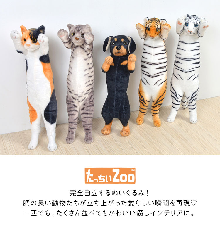 SALE／37%OFF】 たっちぃZOO 猫 ぬいぐるみ ecousarecycling.com