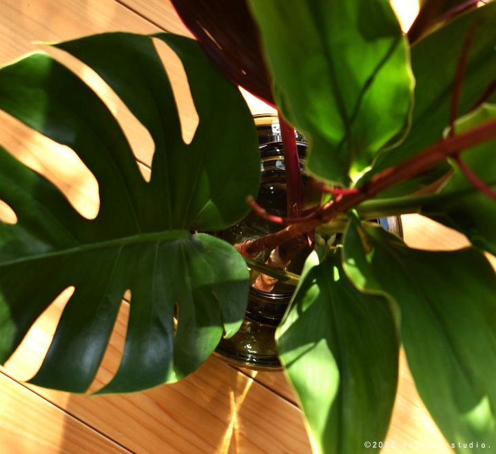 フラワーベース 北欧 おしゃれ バブル Bubble クリアブラック Lサイズ