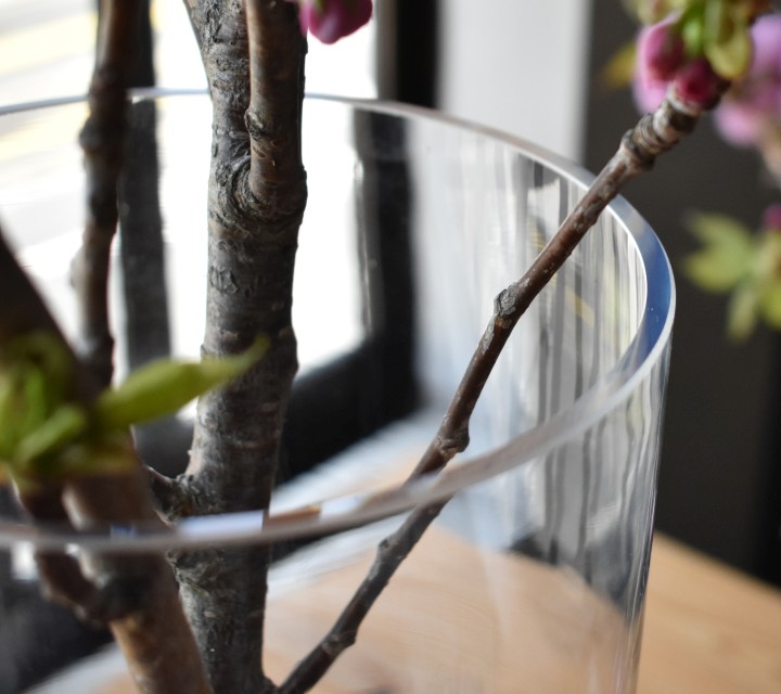 銘木(花瓶付き) 花器 かけす（さらし） 壁掛けタイプ 【花台付き】- 竹細工 花生け 花