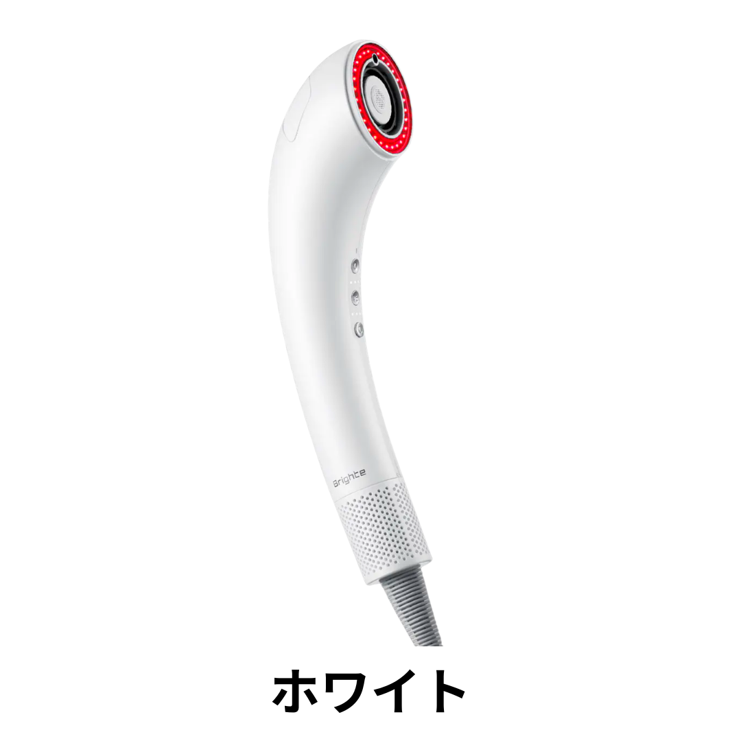 正規品 Brighte ブライト シャワードライヤー SHOWER DRYER BRT-SD173