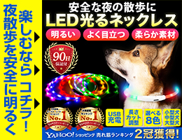 光るLEDネックレス