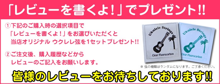 T's Ukulele ティーズウクレレ ソプラノサイズ SD-100 マホガニー