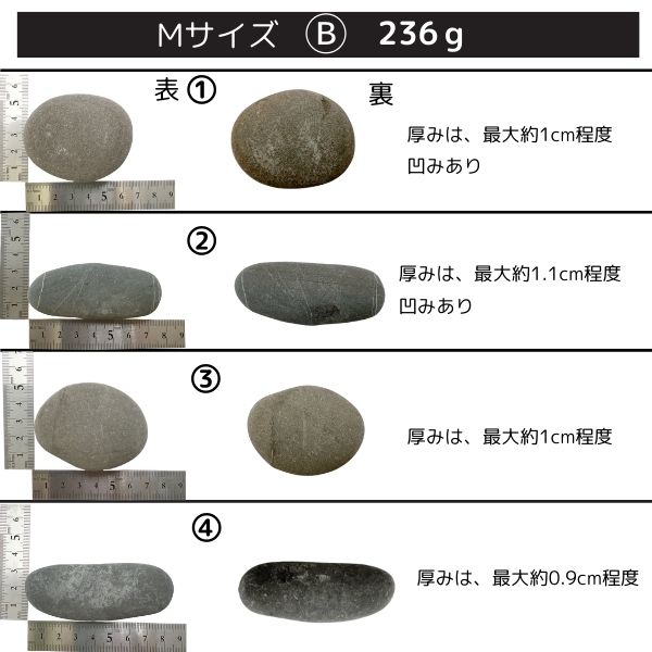 イリイリ Mサイズ フラ フラダンス楽器 ハワイ ハワイアン打楽器 石