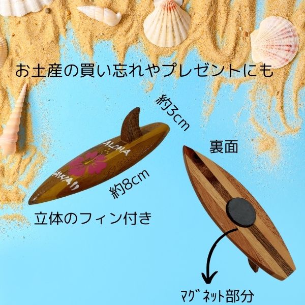 【海の日特価・ハワイ購入】ボディーボード(割りと美品) + ケース + フィン ハワイで、ボディボード │ My WordPress Website