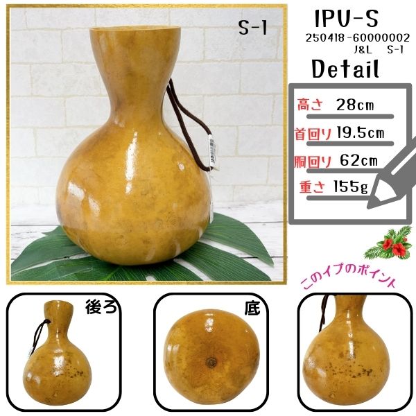 イプフラダンス 楽器