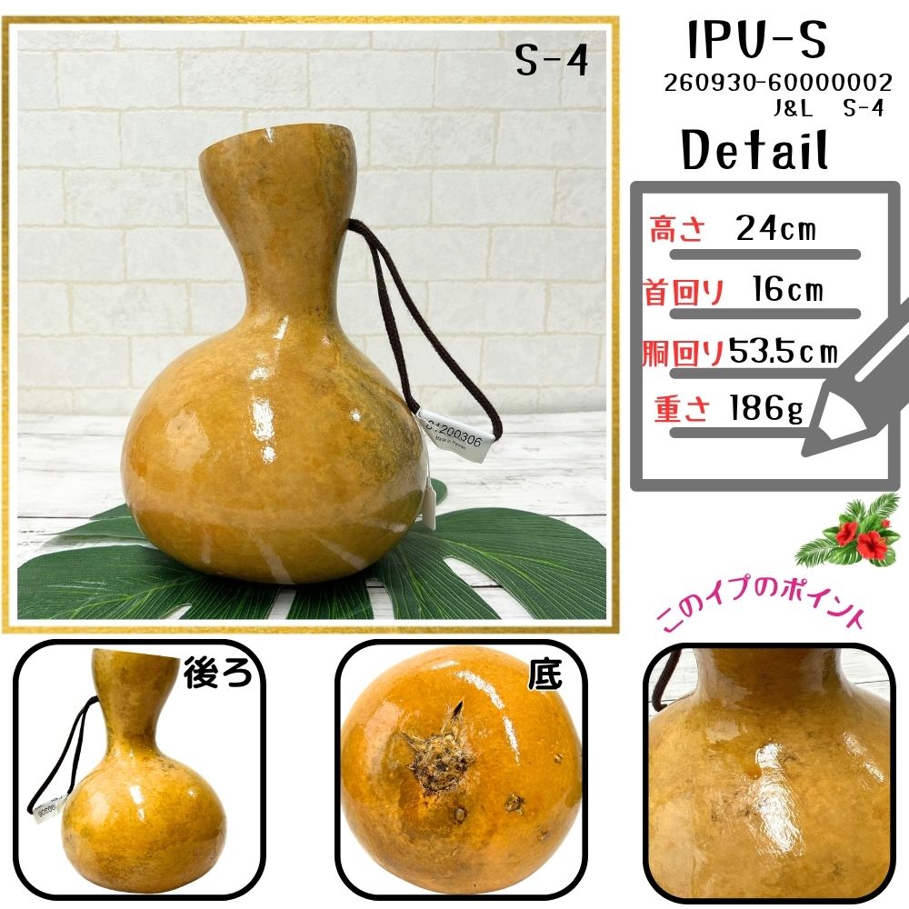 本場ハワイ直輸入 フラダンス 打楽器 イプ Sサイズ 瓢箪 写真の現物を