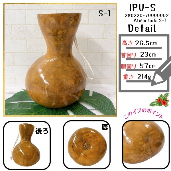 イプ Sサイズ フラ フラダンス 楽器 ハワイ ハワイアン 打楽器