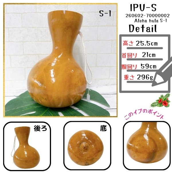 イプ フラ楽器 アロハフラサプライ Aloha Hula Supply ハワイ イプ Sサイズ フラ フラダンス 楽器 ハワイ ハワイアン 打楽器 フラ