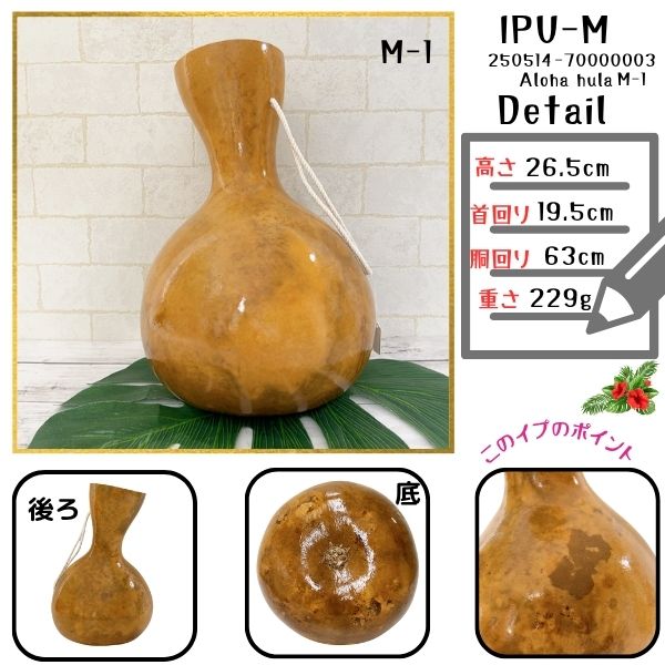 イプ　楽器　フラダンス 楽天市場】イプ Sサイズ フラ フラダンス 楽器 ハワイ