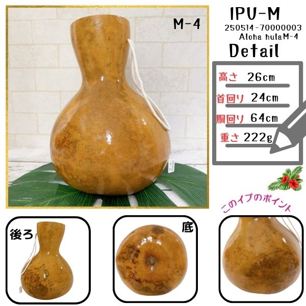 イプ Mサイズ フラ フラダンス 楽器 ハワイ ハワイアン 打楽器