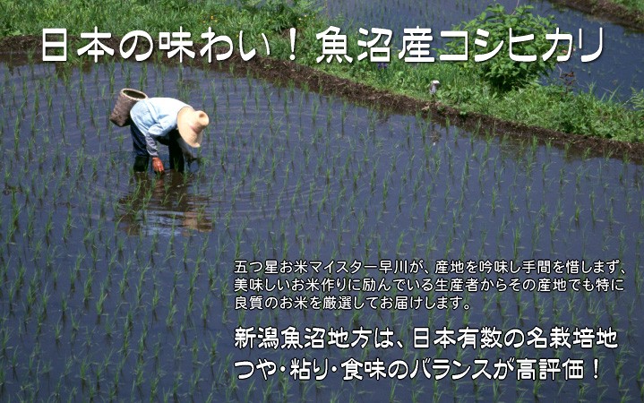 日本有数の名栽培地“魚沼地方”