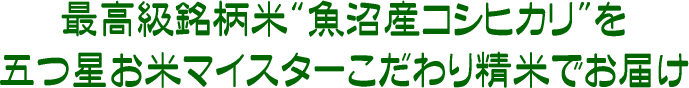 精米にこだわり！魚沼産コシヒカリ