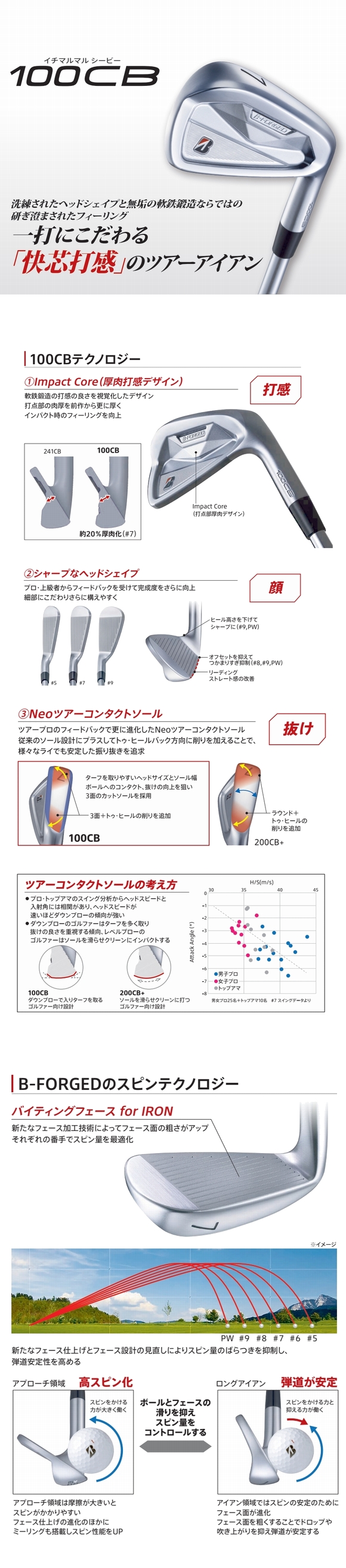 BRIDGESTONE GOLF ブリヂストン 100CB アイアン 5本セット (#6-PW