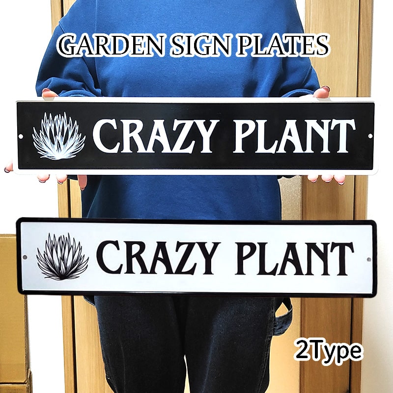 crazy-ptant1.jpg