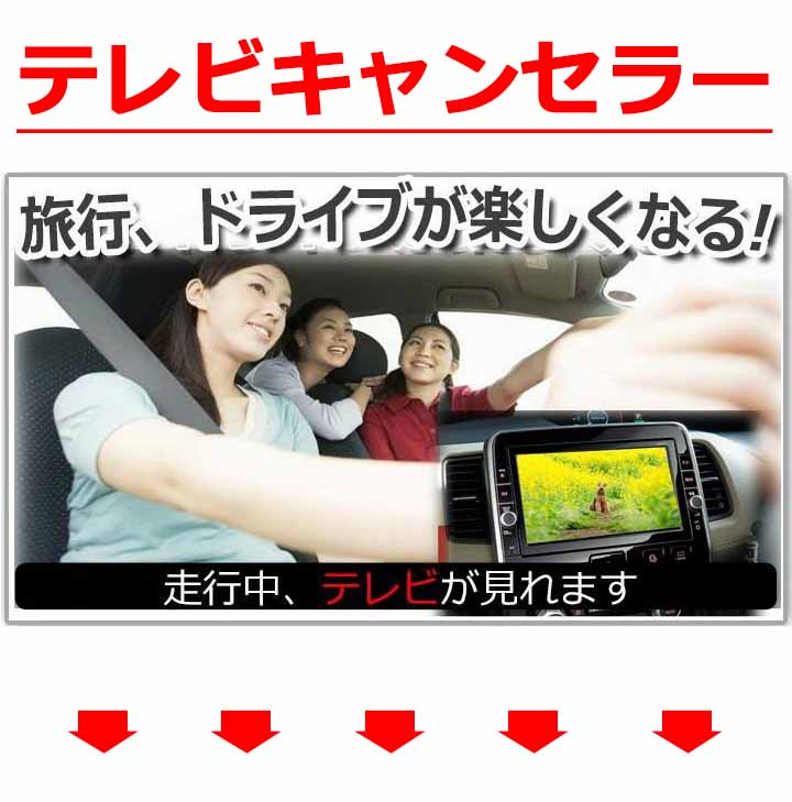 いラインアップ ブリッツ BLITZ テレビジャンパー 車種別パッケージ ETH26B ホンダ シビック FL1 2021年09月〜 fucoa.cl