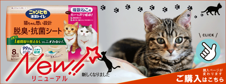 Kao（花王） ニャンとも清潔トイレ 脱臭・抗菌シート 複数ねこ用 (8枚
