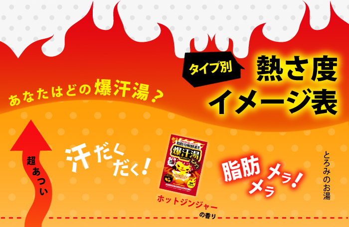 送料無料】 爆汗湯 5種類×2包セット(全10包) アソート 入浴剤セット