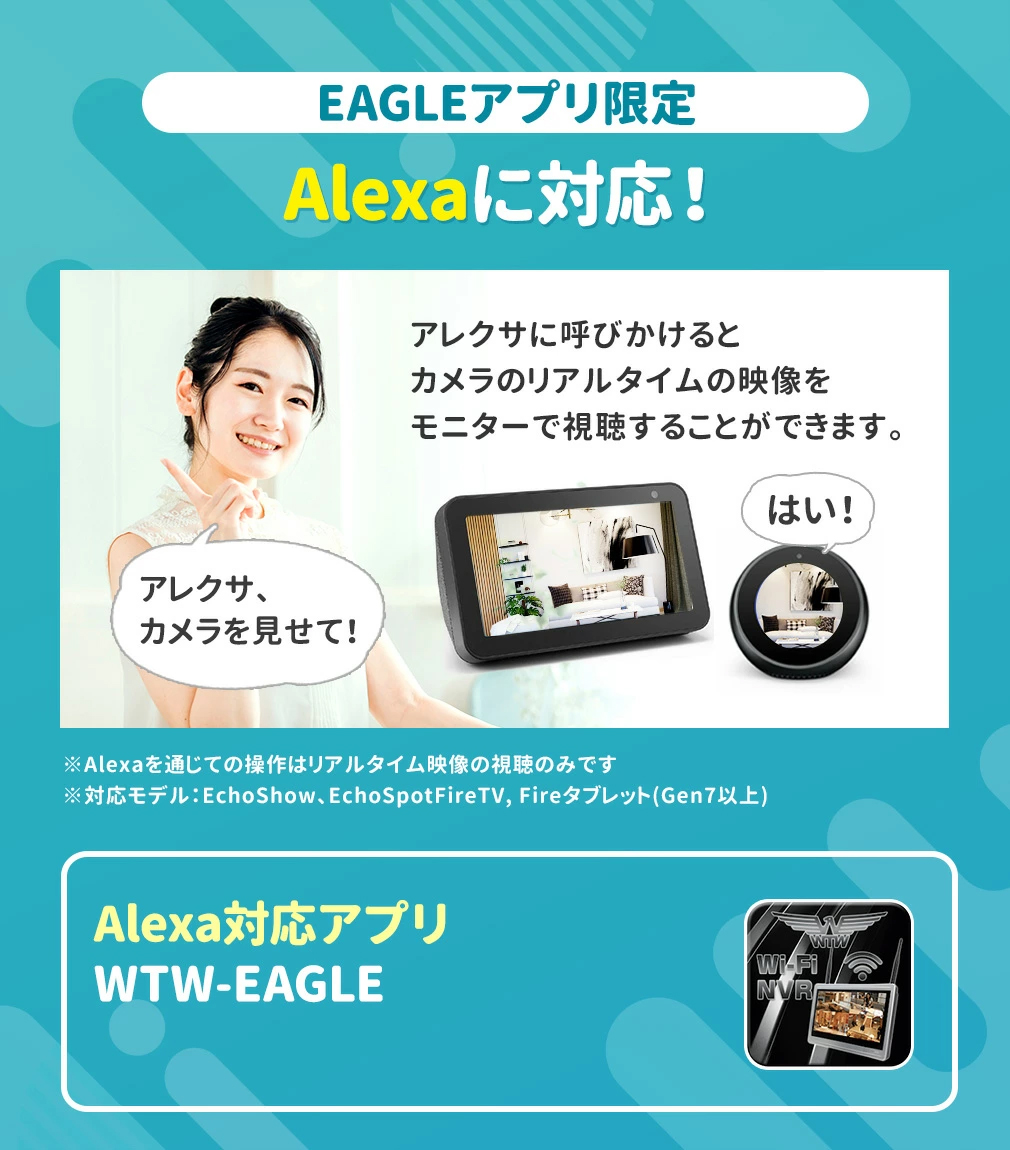 塚本無線 WTW ペットカメラ 見守りカメラ 防犯カメラ ワイヤレス 500万