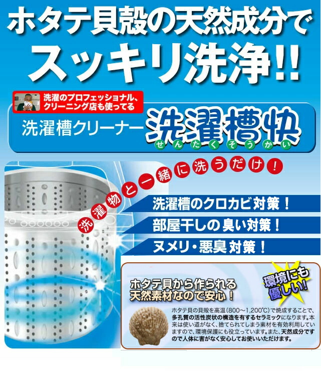 3個までゆうパケット送料250円※ 『洗濯槽快 2包組ネットつき