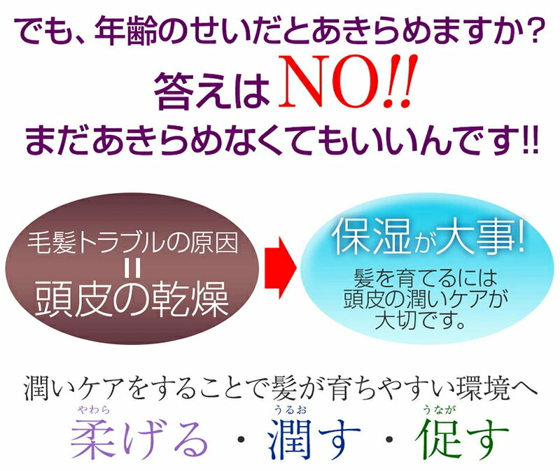 夢美髪 【定形外郵便発送可！400円-】 薬用 育毛剤 ゆめみはつ