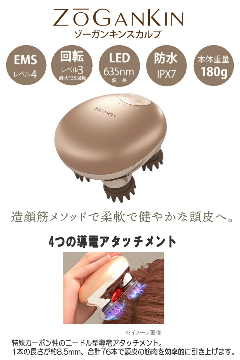 EMS ヘッドスパ WILL-A ゾーガンキンスカルプ ZOGANKIN SCALP