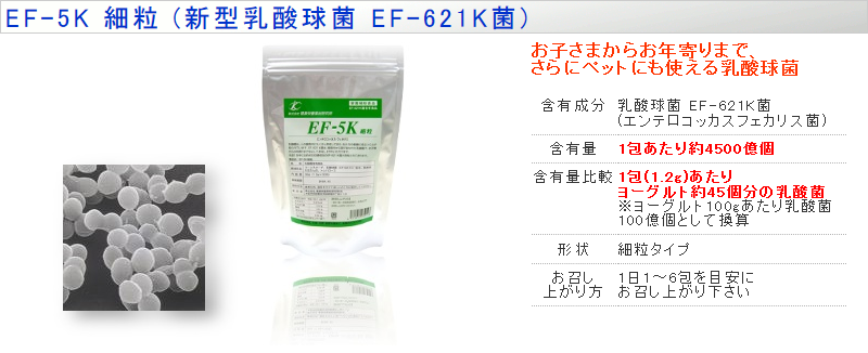 新型乳酸菌EF-621K菌 EF-5K 細粒 30包 : kes-000-00011 : 厳選