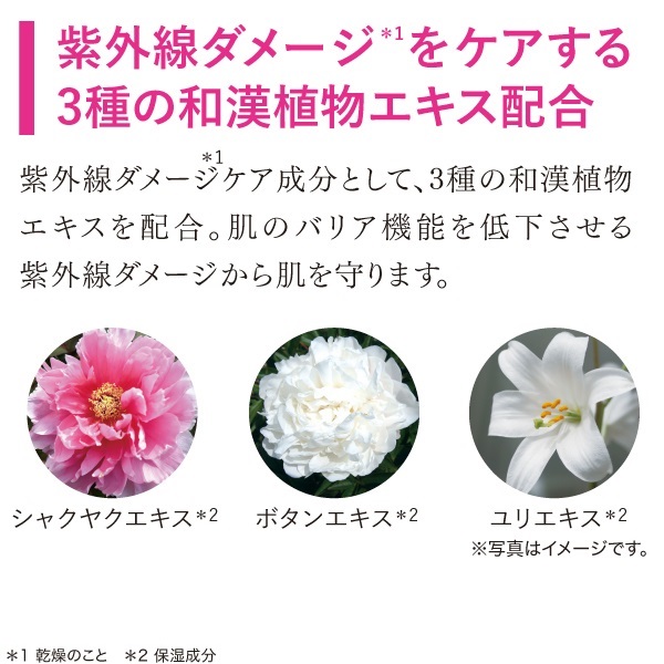 キューサイ コラリッチ リンクルホワイトローション 120ml おまけ付