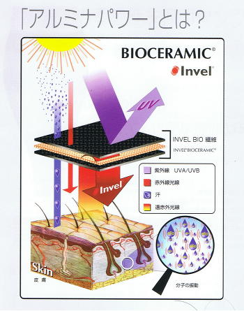 ≪使い方はいろいろ≫INVEL（インヴェル）ＢＩＯカード3枚入り : 9118-026 : ヘルスケアDIV - 通販 - Yahoo!ショッピング