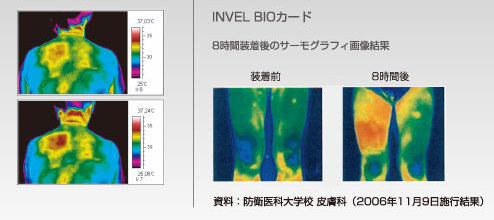 ≪使い方はいろいろ≫INVEL（インヴェル）ＢＩＯカード3枚入り : 9118