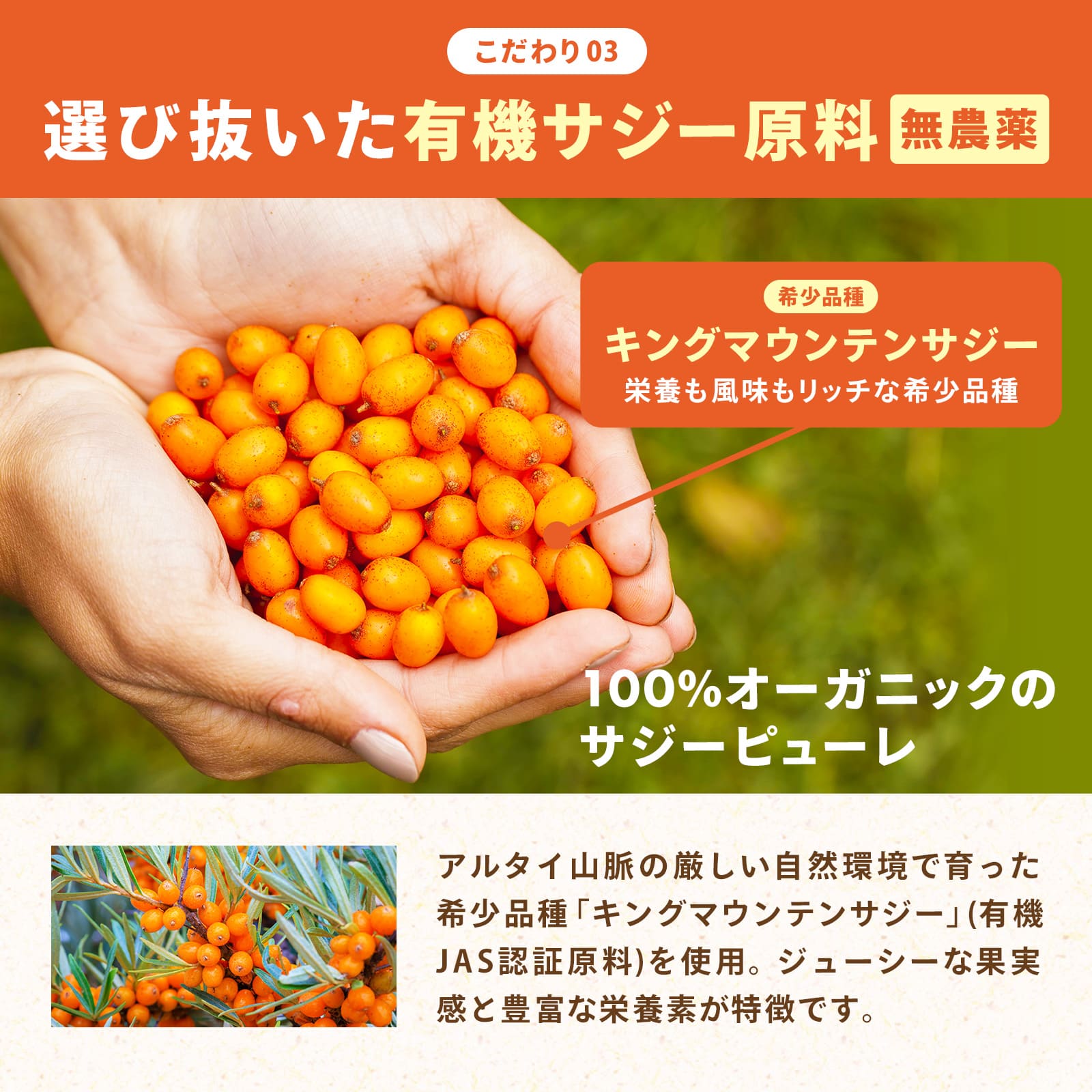 「今だけ1個おまけ」日本製造 サジー サジージュース 900ml 3個セット パウチ うま鉄サジー まいにち 鉄分 沙棘 腸活 安眠 ビタミン 鉄 スーパーフードの画像