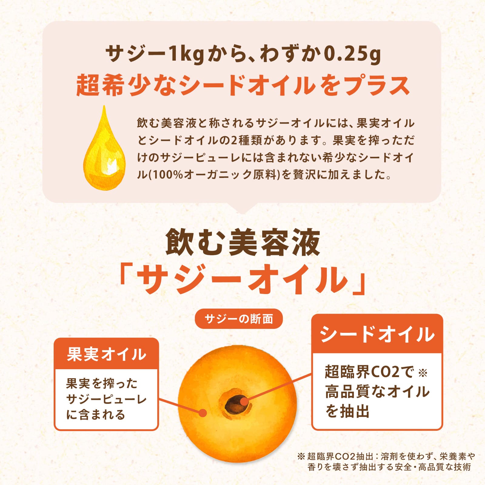「今だけ1個おまけ」日本製造 サジー サジージュース 900ml 3個セット パウチ うま鉄サジー まいにち 鉄分 沙棘 腸活 安眠 ビタミン 鉄 スーパーフードの画像