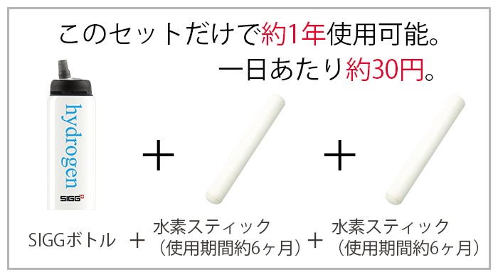 何でも揃う SIGG 水素水ボトルセット 水素スティック2本付 水素水生成器 容器 セット レビューでクーポンプレゼント qdtek.vn