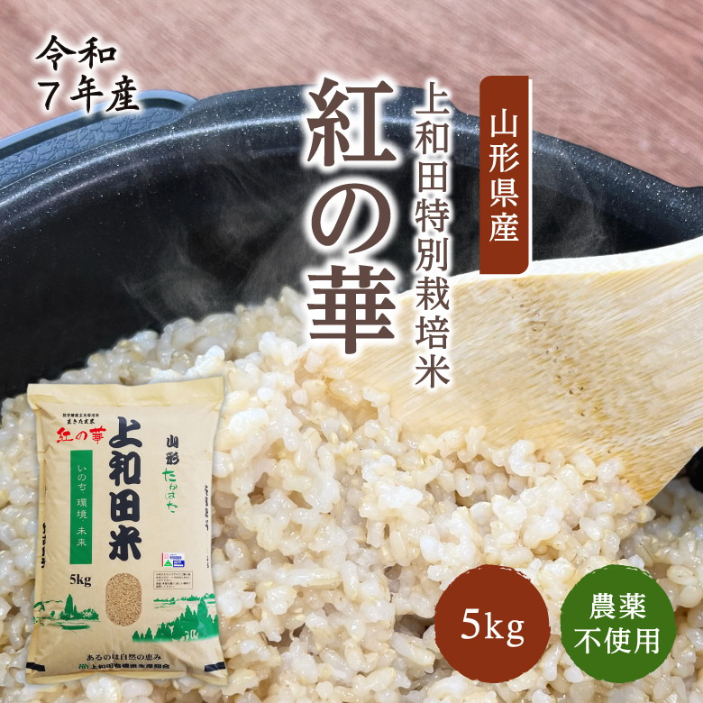 米 玄米 コシヒカリ 5kg 10kg 農薬不使用 山形県産 お米 生きた玄米 紅