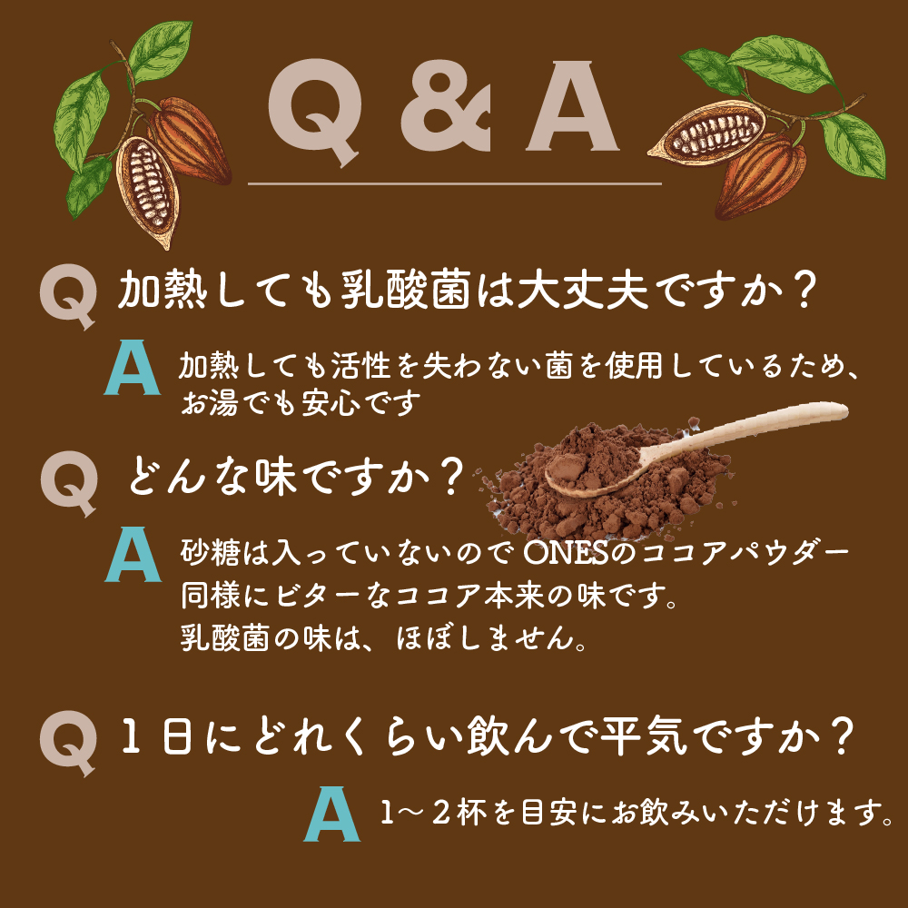 乳酸菌ブレンド ココアパウダー 5kg(500g×10袋) 送料無料 腸活 乳酸菌