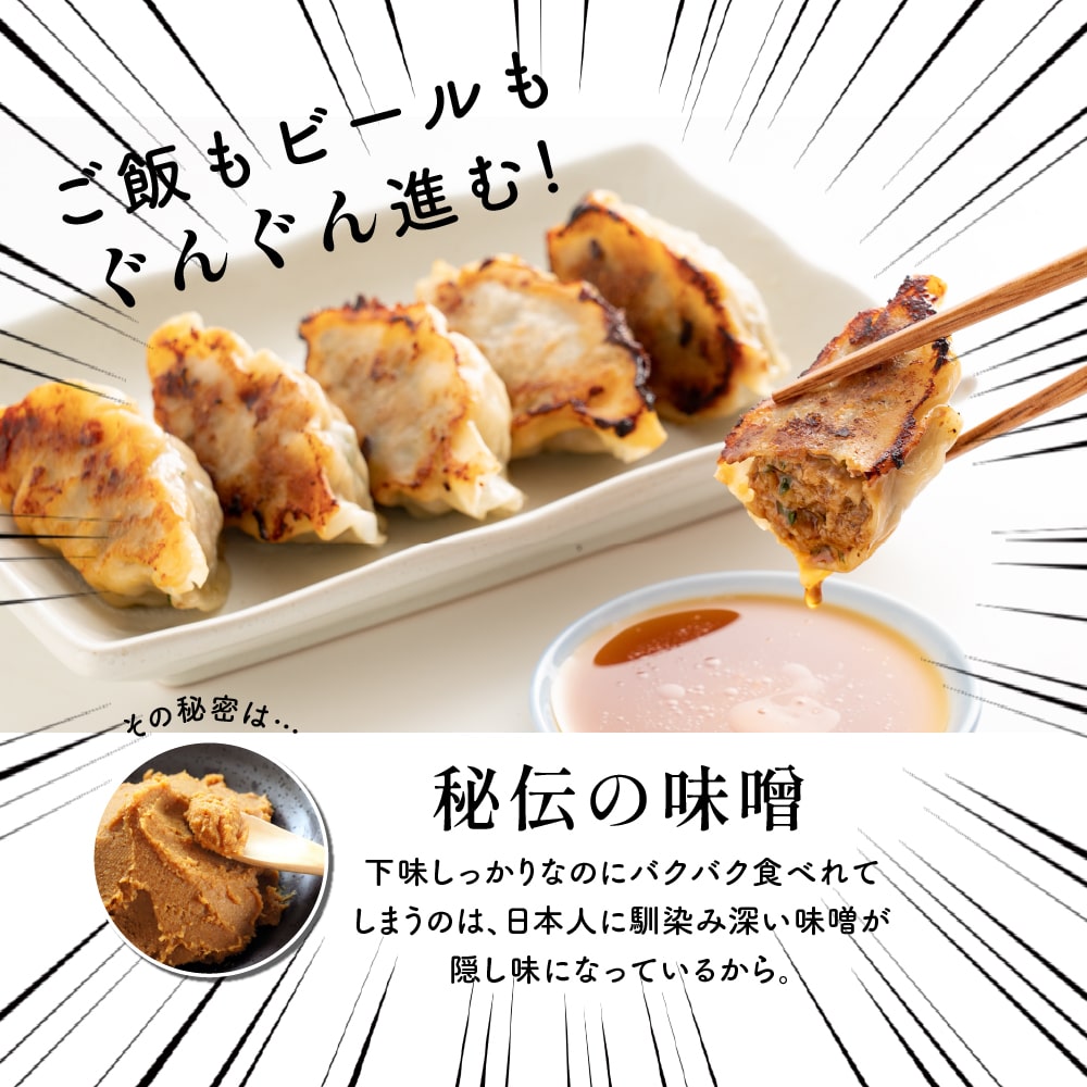 セール 【90個入り】 静岡の人気店「しるし」の肉汁餃子 送料