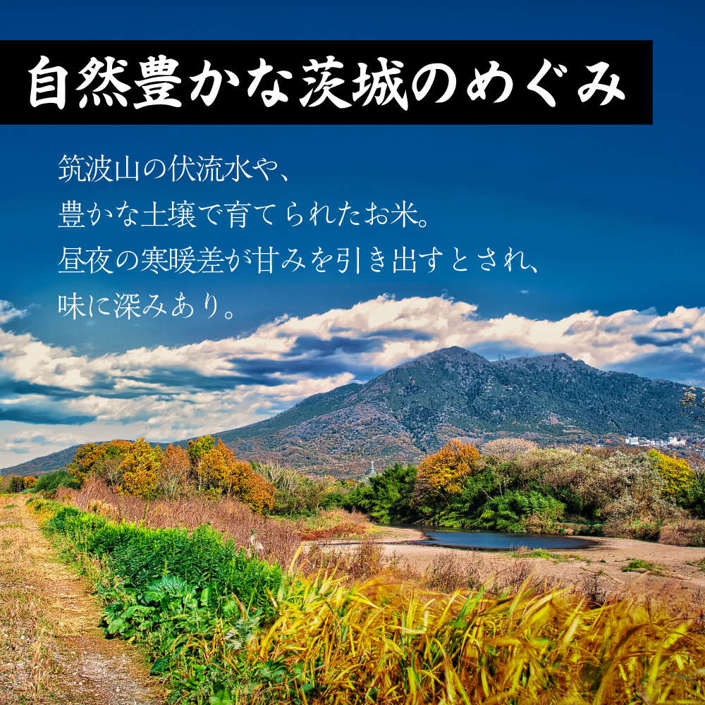セール 【白米】 茨城県産 コシヒカリ 30kg(5kg×6袋) こしひかり 令和6年産 単一原料米 白米 精米 精白米 送料無料 精米工場からの直送品 |  | 02